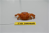 藏品(字紋弓蟹)的圖片